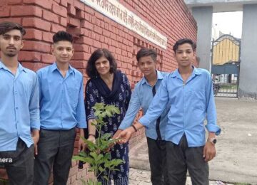 Afforestation-3